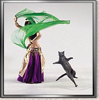 Dancing cat