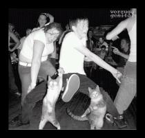 Obligatory picture of dancing cats...and people dancing like they just don't care!